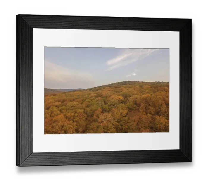 Framed Print : Autumn forest colorful trees and leafs aerial view