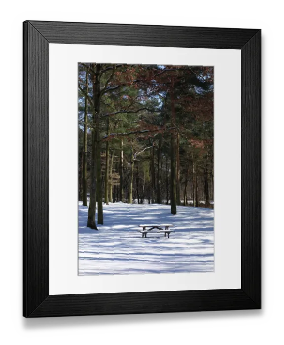 Framed Print : Romantic winter forest