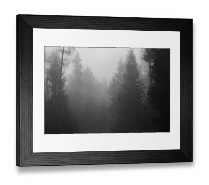Framed Print : Morning fog in a dense coniferous forest near Mitterteich