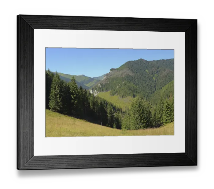 Framed Print : The forests and mountain slopes above Chocholowska glade seen from Jamy glade Framed Print : The forests and mountain slopes above Chocholowska glade seen from Jamy glade
