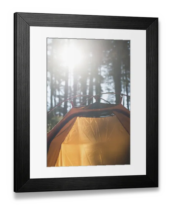 Framed Print : Tent in the forest on sunlight. Pine trees Framed Print : Tent in the forest on sunlight. Pine trees