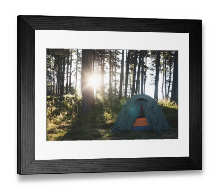 Framed Print : Tent in the forest on sunlight. Pine trees Framed Print : Tent in the forest on sunlight. Pine trees