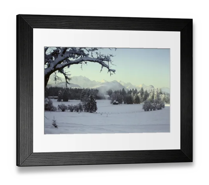 Framed Print : Winter scene.A landscape in Alps
