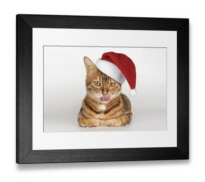 Framed Print : Adorable Bengal cat in Santa hat