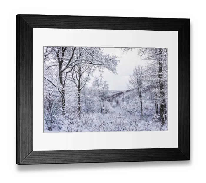Framed Print : Walk through the snowy winter forest in the German low mountain range Framed Print : Walk through the snowy winter forest in the German low mountain range
