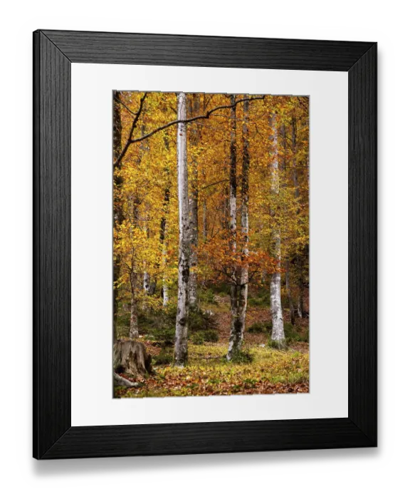 Framed Print : Hiking through the Vrata valley in autumn