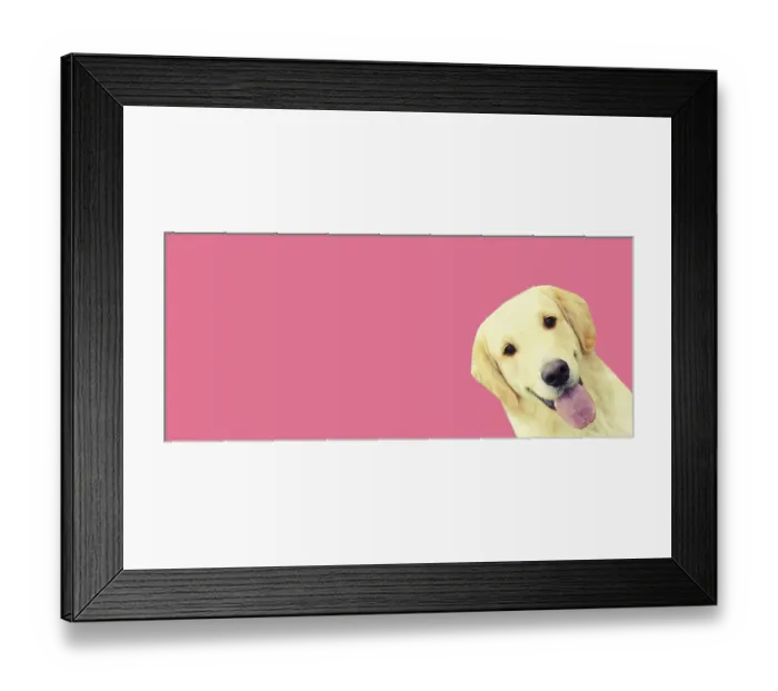 Framed Print : Portrait of happy Golden Retriever dog on pink background