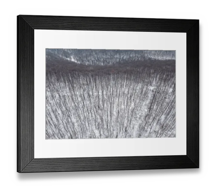 Framed Print : Winter forest Top view. Snowy winter forest aerial Framed Print : Winter forest Top view. Snowy winter forest aerial