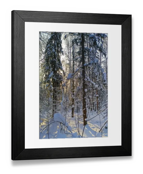 Framed Print : Winter Landscape in the Warm Light of the Setting Sun