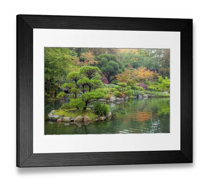 Framed Print : Pond in japanese garden of Kaiserslautern Framed Print : Pond in japanese garden of Kaiserslautern