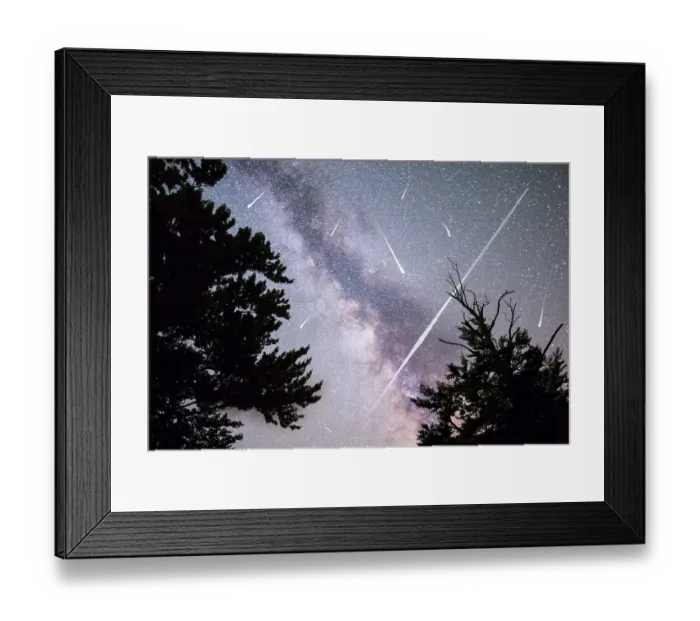 Framed Print : A view of a Meteor Shower and the Milky Way with a pine trees forest silhouette in the foreground