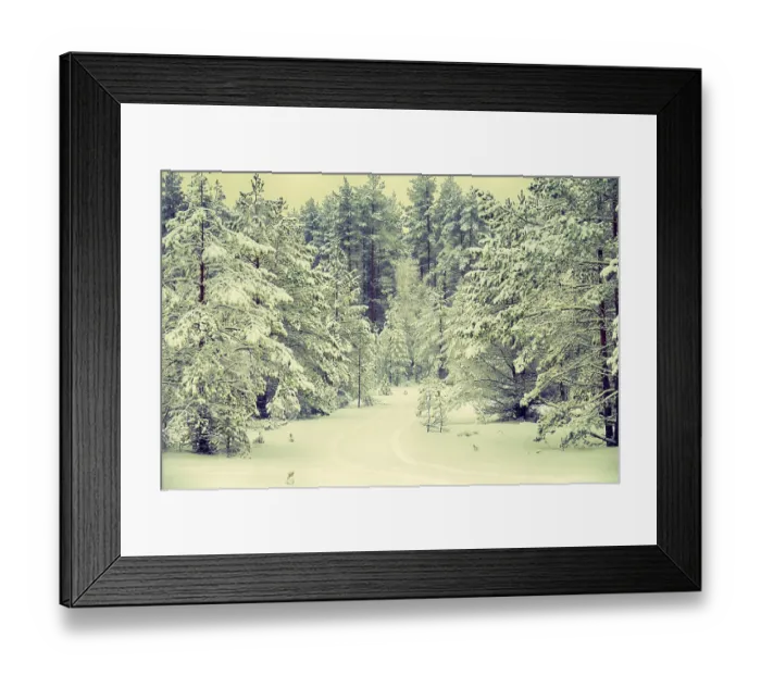 Framed Print : Beauty of the winter forest in fine weather after a snowfall Framed Print : Beauty of the winter forest in fine weather after a snowfall
