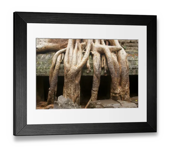 Framed Print : Ta Prohm was built in the Bayon style largely in the late 12th and early 13th centuries Framed Print : Ta Prohm was built in the Bayon style largely in the late 12th and early 13th centuries