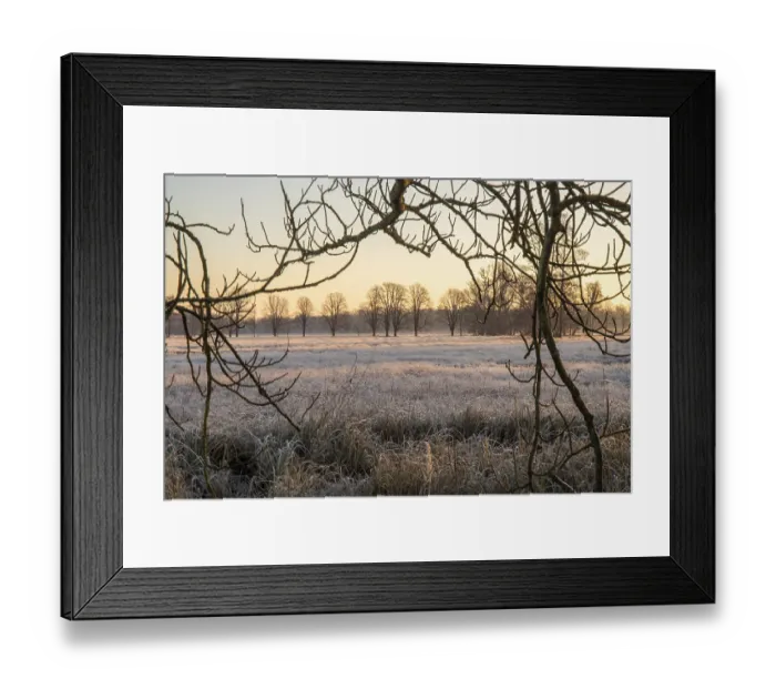 Framed Print : Winter landscape in frost at sunrise Framed Print : Winter landscape in frost at sunrise