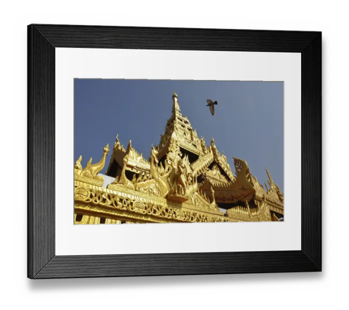 Framed Print : Schwezigon pagoda, bagan, burma