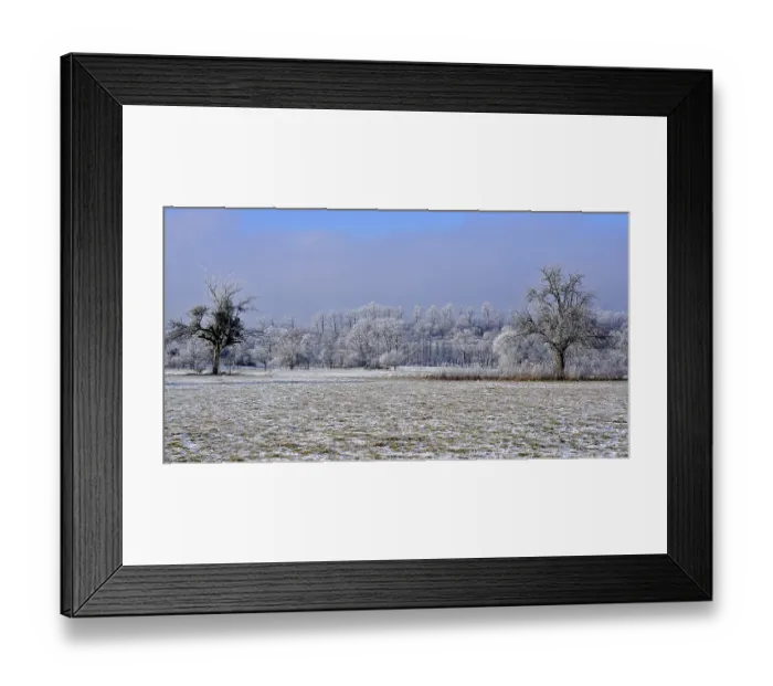 Framed Print : Winter landscape with orchards and forest Framed Print : Winter landscape with orchards and forest