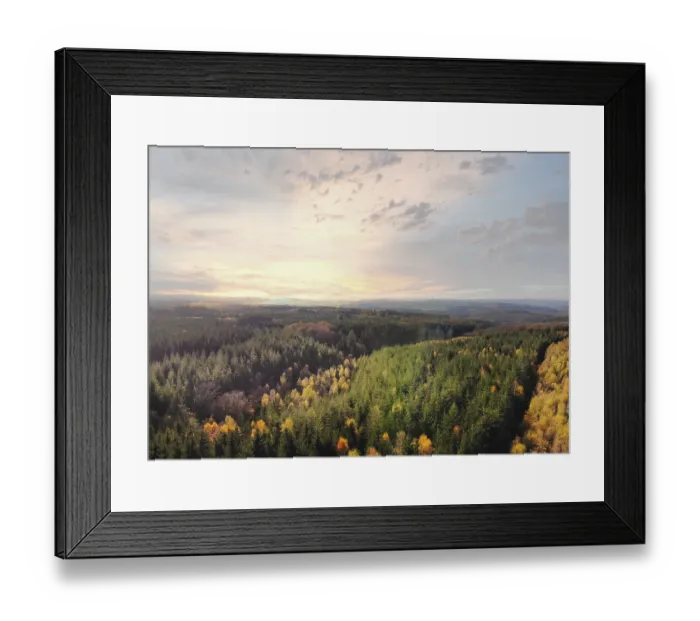 Framed Print : Dramatic aerial sunset over the pine tree forest in autumn in the Ardennes Framed Print : Dramatic aerial sunset over the pine tree forest in autumn in the Ardennes