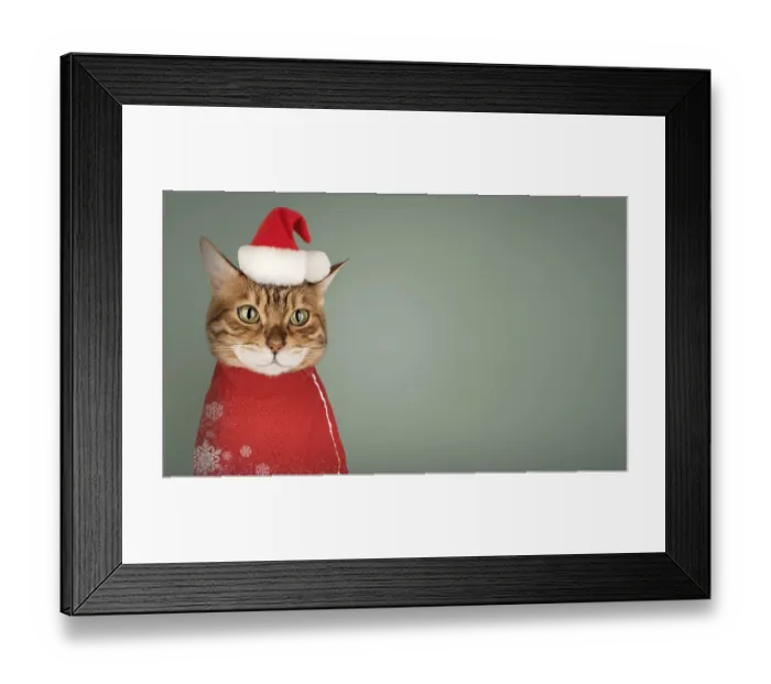 Framed Print : Adorable Bengal cat in Santa hat