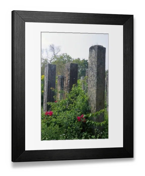 Framed Print : Anuradhapura is one of Sri Lanka's ancient capitals and famous for its well-preserved ruins