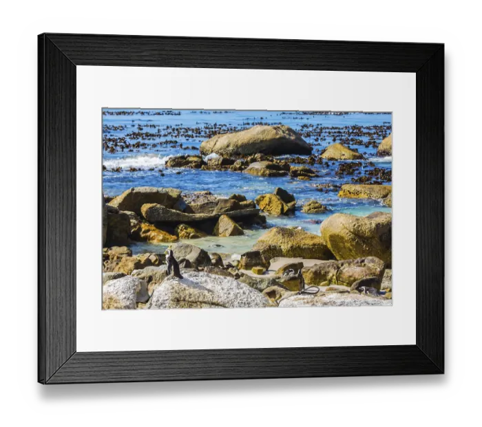 Framed Print : Large rocks and seaweed on the beach of Atlantic Ocean Framed Print : Large rocks and seaweed on the beach of Atlantic Ocean