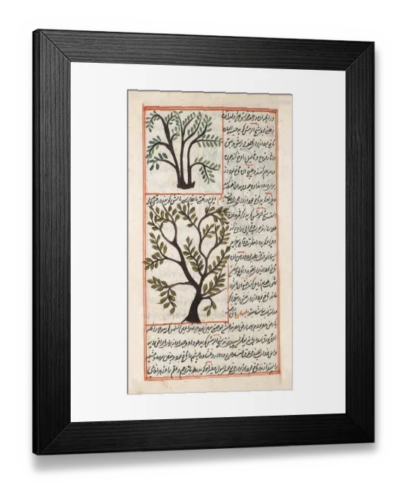 Framed Print : Abu Yahya Zakariya ibn Muhammad al-Qazwini Framed Print : Abu Yahya Zakariya ibn Muhammad al-Qazwini