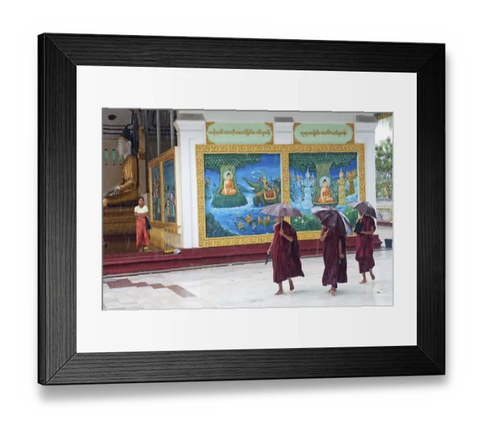 Framed Print : Monks in rain at shwedagon pagoda temple in yangon myanmar