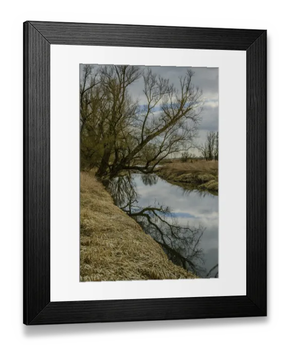 Framed Print : A river with reflecting trees and cloudy sky