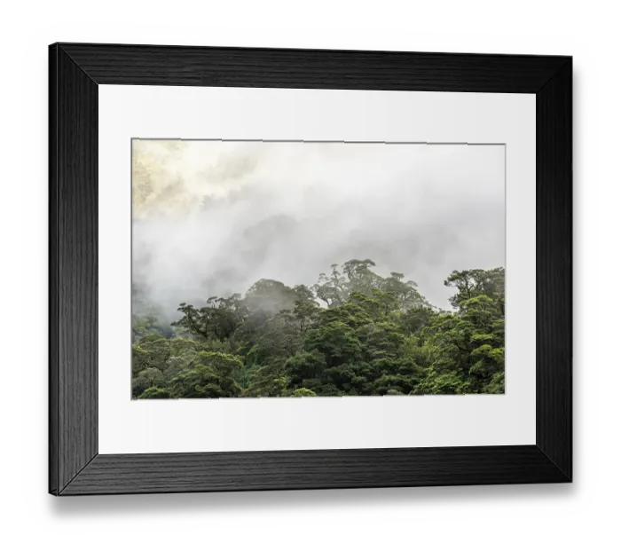Framed Print : A new morning dawning at Doutful Sound