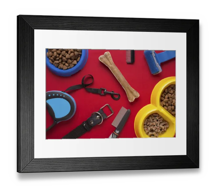 Framed Print : Pet accessories on red background Framed Print : Pet accessories on red background