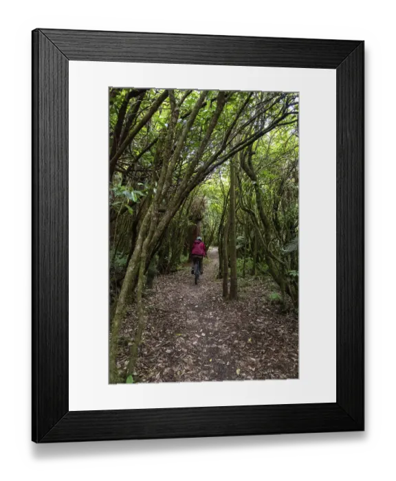 Framed Print : Mountain biking the Old Coach Road Framed Print : Mountain biking the Old Coach Road