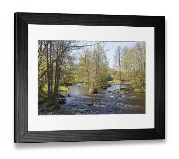 Framed Print : River running through the deciduous forest in spring Framed Print : River running through the deciduous forest in spring