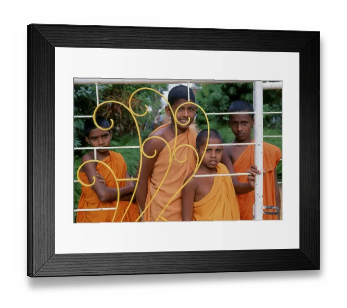 Framed Print : Anuradhapura is one of Sri Lanka's ancient capitals and famous for its well-preserved ruins Framed Print : Anuradhapura is one of Sri Lanka's ancient capitals and famous for its well-preserved ruins