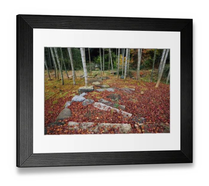 Framed Print : Autumn of Jojakko-ji temple in Arashiyama