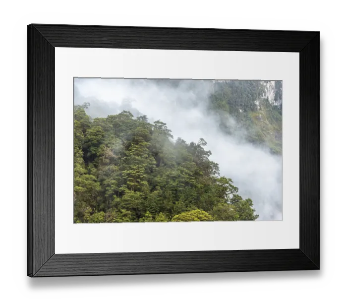 Framed Print : A new morning dawning at Doutful Sound