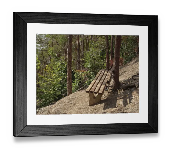 Framed Print : Wooden bench in the shade of trees along a path in a quiet wooded area