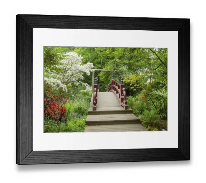 Framed Print : Amazing Japanese garden in Leverkusen in May Framed Print : Amazing Japanese garden in Leverkusen in May
