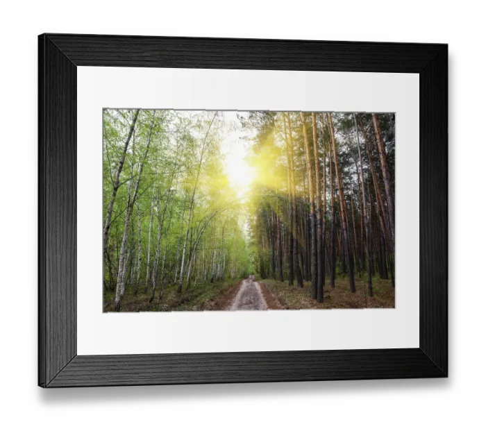 Framed Print : Bright sun over country road in the mixed forest