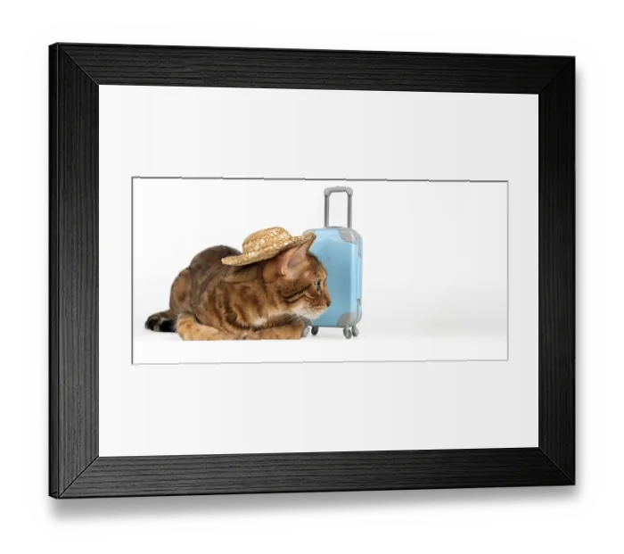 Framed Print : Cute cat with suitcase and in straw hat on white background Framed Print : Cute cat with suitcase and in straw hat on white background
