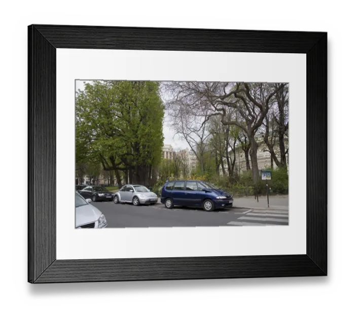 Framed Print : Street scene road trees environment, Paris, France