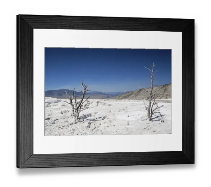 Framed Print : Mammoth Hot Springs Terraces in Yellowstone National Park Framed Print : Mammoth Hot Springs Terraces in Yellowstone National Park