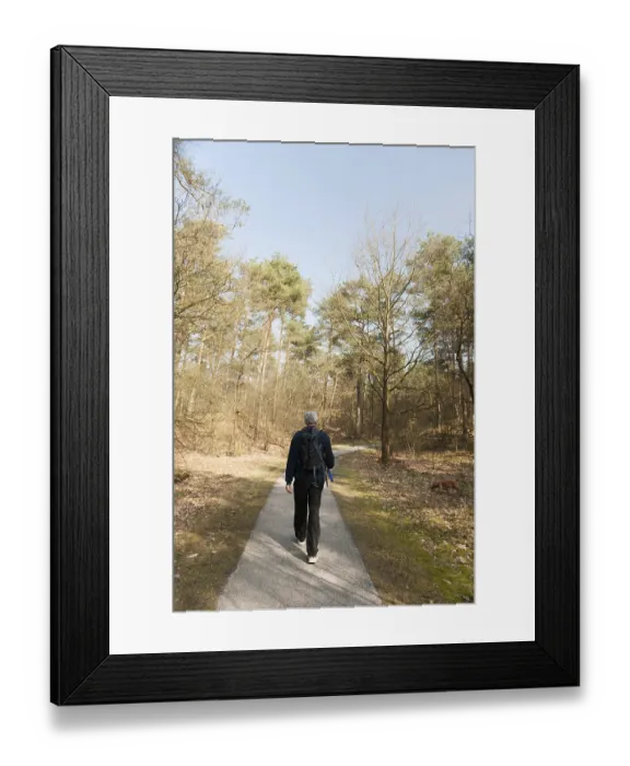 Framed Print : Man walking with dog in Dutch nature