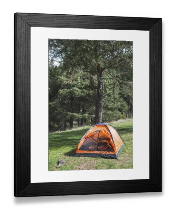 Framed Print : Orange tent in a pine forest. Sunlight Framed Print : Orange tent in a pine forest. Sunlight