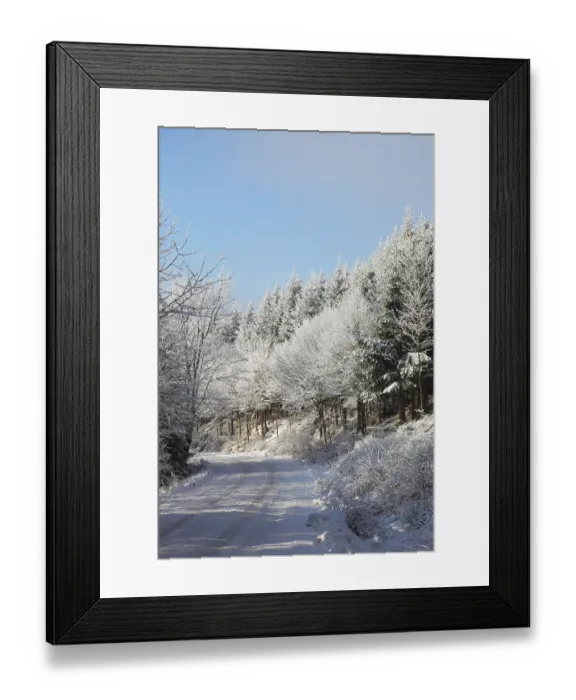 Framed Print : Winter road to wood. The trees covered with snow and ski traces on snow
