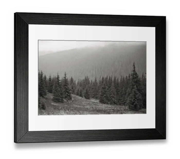 Framed Print : Landscape with fog in mountains and rows of trees