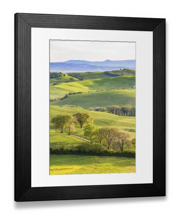 Framed Print : Trees in a rolling landscape Framed Print : Trees in a rolling landscape