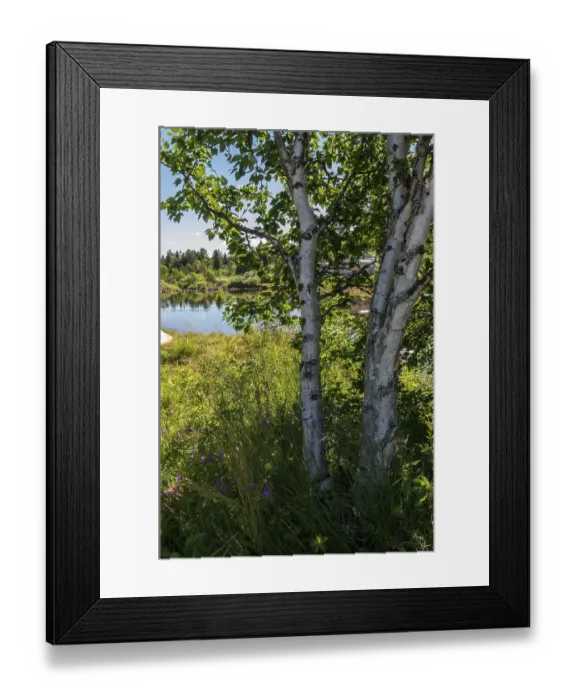 Framed Print : Fascinating natural landscape in Golsfjellet in the summertime in Norway
