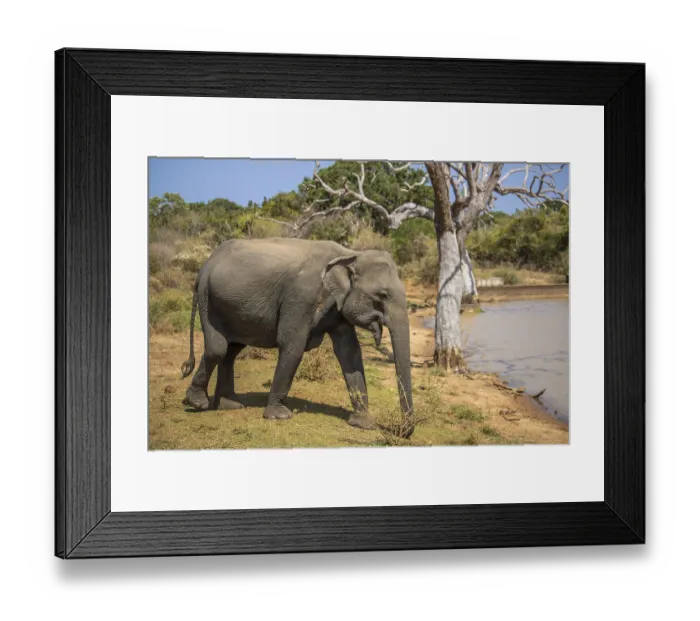 Framed Print : Dry subtropical landscape on an island