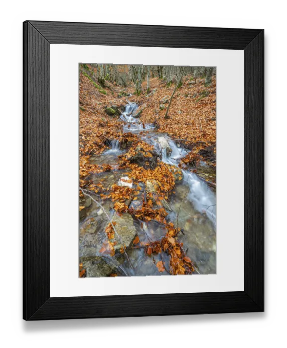 Framed Print : Stream Beech Forest, Hayedo de la Pedrosa Natural Protected Area