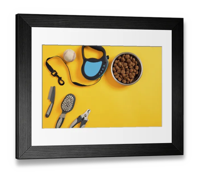 Framed Print : Dog accessories on yellow background