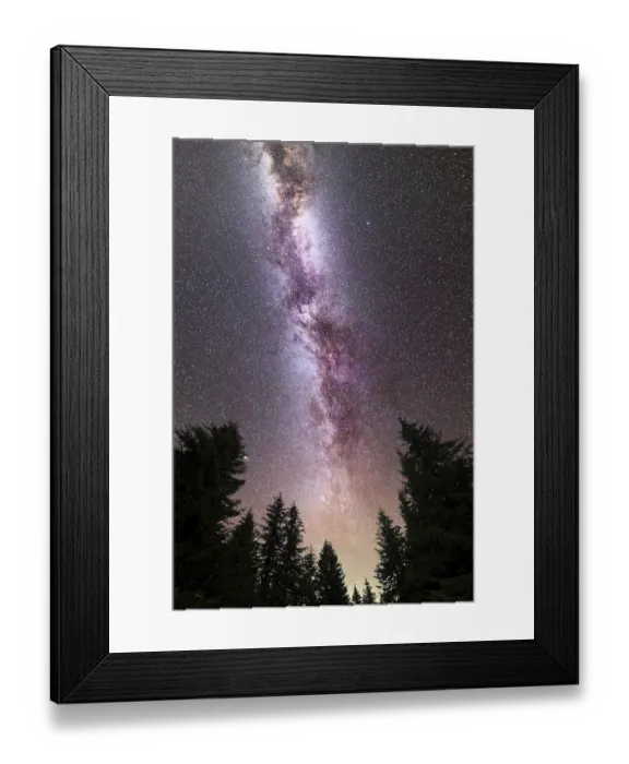 Framed Print : A view of a Meteor Shower and the purple Milky Way with pine trees forest silhouette in the foreground